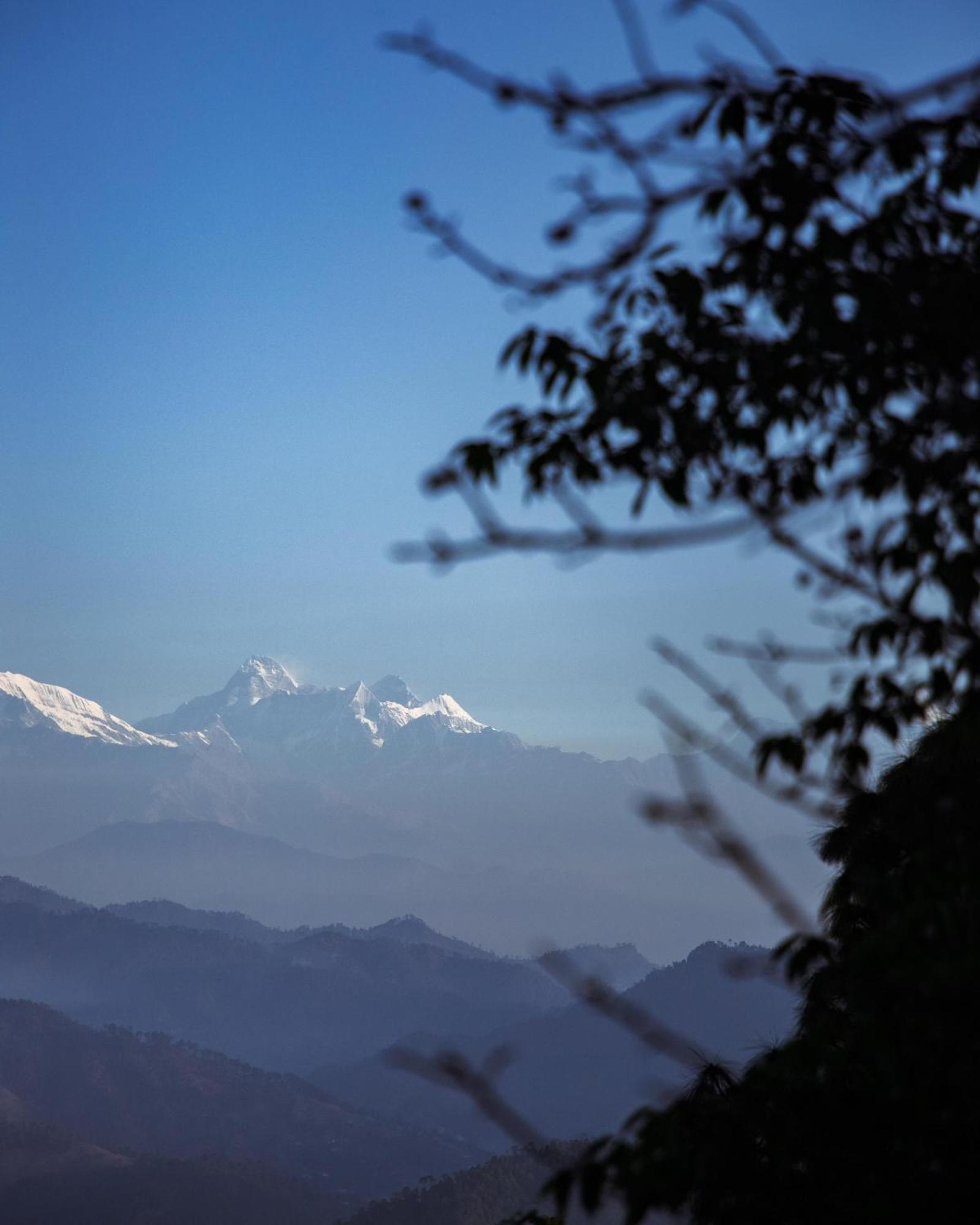 Kasar Himalaya Holiday Resort, Binsar Rd Алмора Екстер'єр фото
